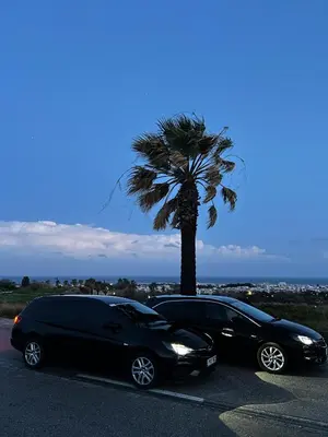 two cars parked in a parking lot next to a palm tree at Clementine Stay Rhodes - CAR RENTAL AVAILABLE in Rhodes Town