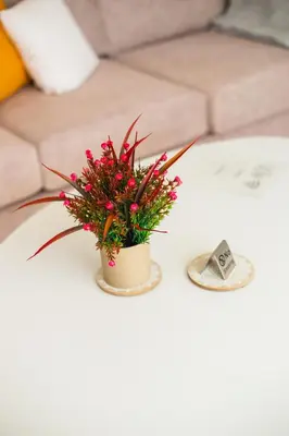 a potted plant on a table next to a couch at LiRa in Kremasti