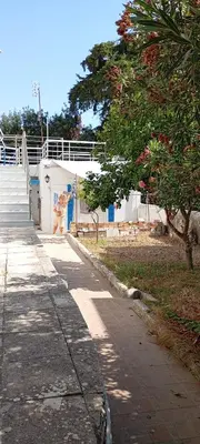 a sidewalk in front of a building with a tree at Giannis Valeria in Rhodes Town