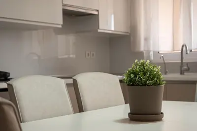 a potted plant sitting on a table in a kitchen at Seabreeze By Ro in Rhodes Town