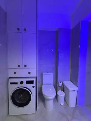a bathroom with a toilet and a washing machine at ELMA apartment 2 Kremasti in Kremasti