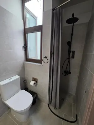a bathroom with a toilet and a shower at Canvas at Koskinou 2 in Koskinou