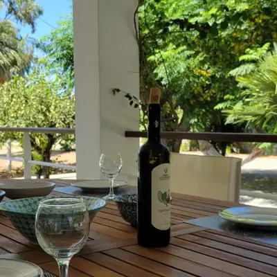 Aegean Villa & Garden in Faliraki