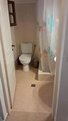 a bathroom with a toilet and a shower curtain at Melitsaka in Nikiá