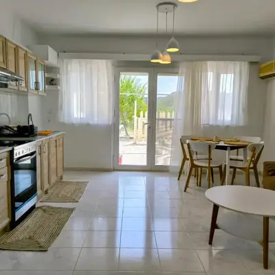 Costelia Studio