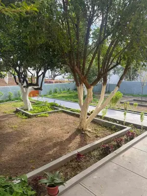 two trees in a garden with a sidewalk at Traditional Villa Stella in Archangelos