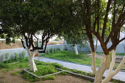 two trees in a garden next to a sidewalk at Traditional Villa Stella in Archangelos
