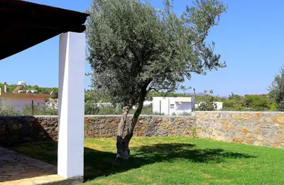 a tree in a yard next to a stone wall at Villa Cleoboulos in Líndos