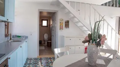 a kitchen with a table with a vase with a plant at Villa Blu Majestic beach villa in Halki