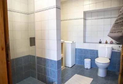 a bathroom with a toilet and a shower at Villa Romanza beach villa in Halki