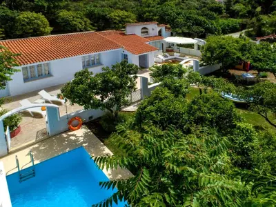 an aerial view of a house with a swimming pool at Holiday Home Amelie by Interhome in Triánta