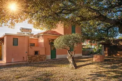 a house with a tree in front of it at Estate Irianna 4 Bedroom Private Pool Villa & 2 Bedroom Guesthouse Rhodes in Ialyssos