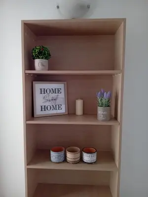 a shelf with plants and a picture on it at My Home in Ialyssos in Ialyssos