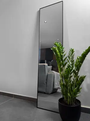 a plant in a pot in front of a mirror at Kálos Housing - Adults Only in Kolimbia