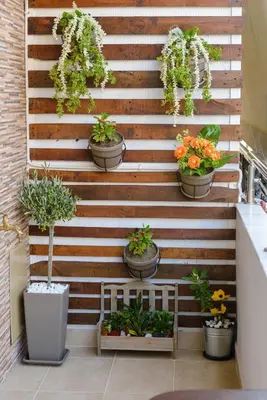 a wall with a bunch of potted plants on it at Cozy Spot in Ixia
