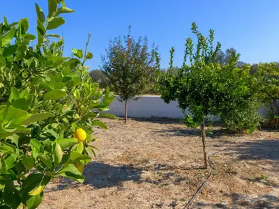 a row of orange trees in front of a building at Holiday Home Villa Galini by Interhome in Haraki