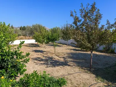 a row of apple trees in a field at Holiday Home Villa Galini by Interhome in Haraki