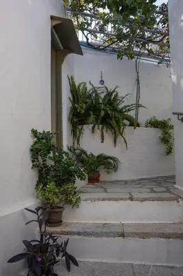 a group of potted plants on a white wall at Hermes Traditional house in Gialos in Symi