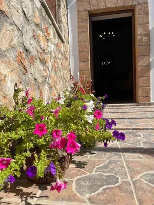 a bunch of flowers sitting in front of a door at Traditional Stay in Archangelos
