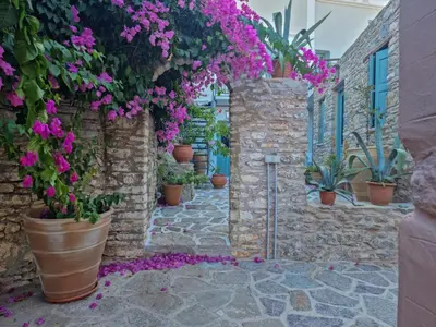 a courtyard with flowers and plants in pots at Symi Village House in Symi