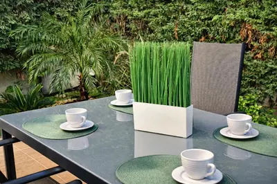 a table with plates and cups and grass on it at Casa Verde Pastida in Pastida