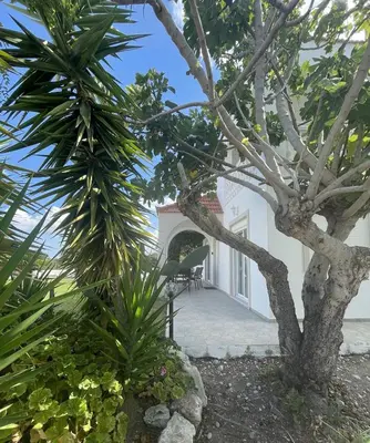 a palm tree in front of a white house at Villa Fig Tree in Phanaes