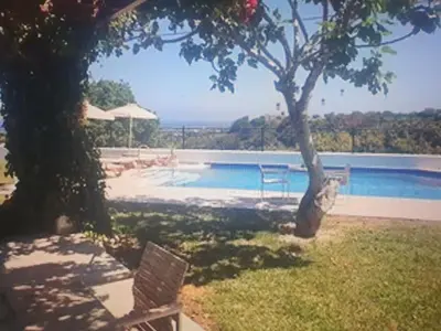a swimming pool with a tree and a bench at Villa Fig Tree in Phanaes