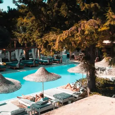 Casa Trees Boutique Hotel