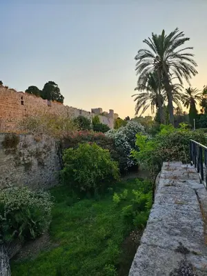 a view of a wall with a palm tree behind it at Piccolo Modern Suites - Old Town in Rhodes Town