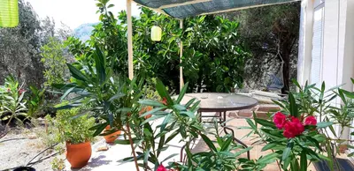 a patio with a table and a bunch of plants at Sea-Nature-Wellness in Kolimbia