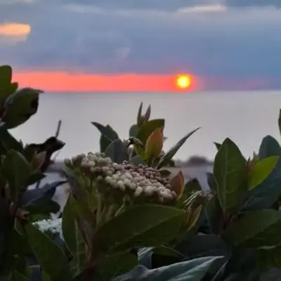 Sea-Nature-Wellness