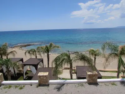 a view of a beach with palm trees and the ocean at Coralli Apartments in Pefki Rhodes