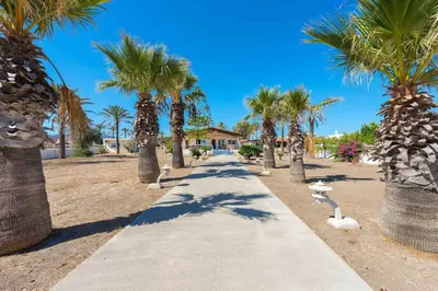 a sidewalk lined with palm trees on the beach at Villa Maria Beachfront Residence in Kiotari