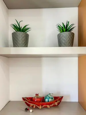 a shelf with three potted plants and a skateboard on it at Athanasia's House in Symi