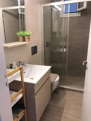 a bathroom with a shower and a sink and a toilet at Haraki Beach House in Haraki