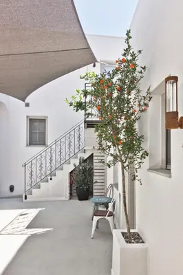 a tree in a planter next to a staircase at Lindos Comfy Suites in Líndos