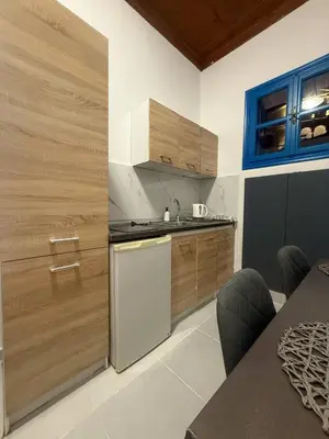 a kitchen with a sink and a dishwasher at Occasus Room in Halki