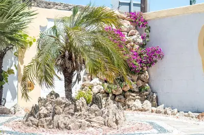 a palm tree in front of a wall with flowers at Mosaic Gardens in Faliraki