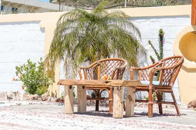 two wooden benches sitting next to a palm tree at Mosaic Gardens in Faliraki