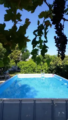a swimming pool with a chair in the middle at Alexandra Homestay in Kalavárda