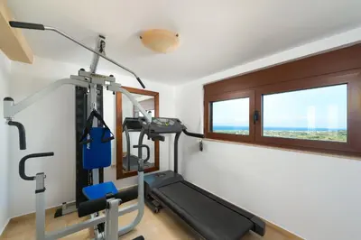 a gym with a treadmill and a window at Butterfly Villa with stunning Sea and Valley Views in Theologos