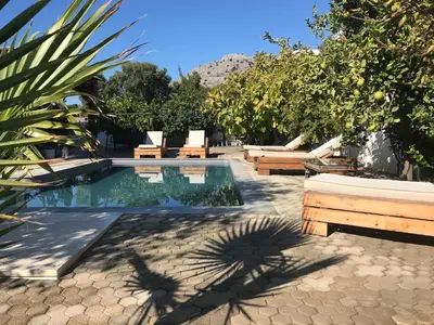 a swimming pool with lounge chairs and a palm tree at Villa Amor in Pefki Rhodes