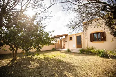 a house with the sun shining through the trees at Casa Theoni in Kattavía