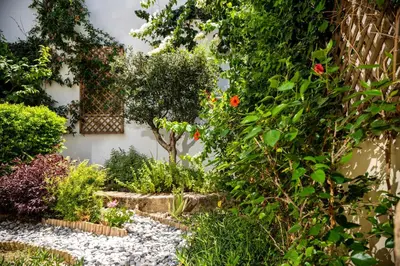 a garden with rocks and plants and a building at Villa dei Ciottoli in Rhodes Town