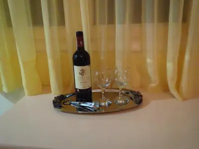 a bottle of wine on a tray with two wine glasses at Mini City Center Studio in Rhodes Town