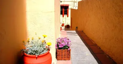 two pots of flowers on the side of a building at Green Garden Studios in Koskinou