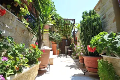 a patio with potted plants and flowers in pots at Sofia Pension in Rhodes Town