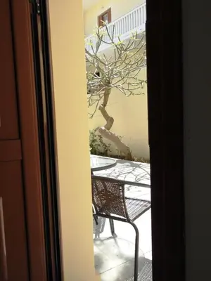 a view of a table and a tree through a window at Kathopouli Apartment in Rhodes Town