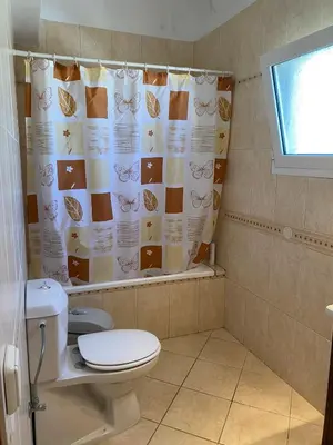 a bathroom with a toilet and a shower curtain at Kaya Sea Studios - Stegna Beach in Archangelos