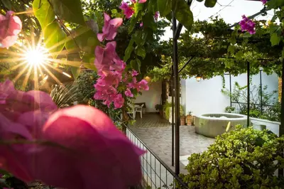 a garden with a tub and pink flowers at Villa Agia Paraskevi in Ialyssos